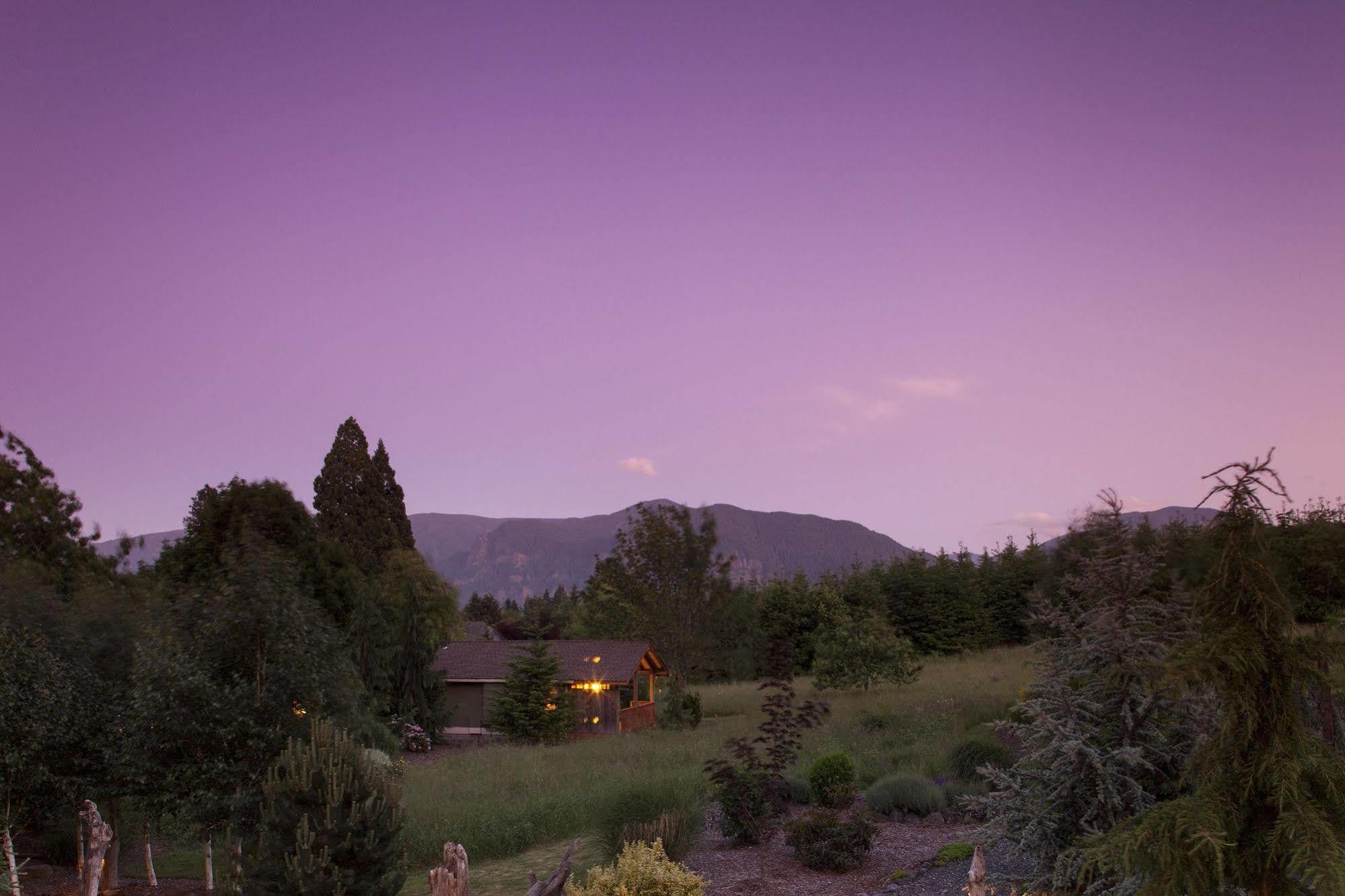 Carson Ridge Luxury Cabins Kültér fotó